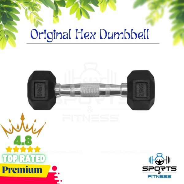 2.5kg Hex Dumbbell 1 pcs - Sports & Fitness