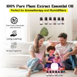 Breathe in Freshness – Home Fragrance Essential Oil for Humidifier, 15ml Bangladesh (New)