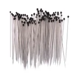 100pcs Insect Pins Specimen Needle Stainless Steel With Plastic Box For School Lab Entomology Body Dissection Insect Needle 2025 Bangladesh (New)