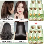 Pure Natural Herbal Hair Dye Shampoo Change Hair Color Cover Gray White Treatment Bubble Plant Dye Bangladesh (New)