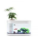 XIAOMI Geometry Fish Tank Transparent Aquarium Bangladesh (New)