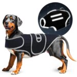 ComfortFlex Dog Back Support Brace – Relieves IVDD Hip Dysplasia Arthritis & Spinal Injuries – Breathable Design Spinal Brace (New)