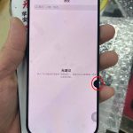iPhone 14 Pro Display (Used)