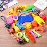 New Dog Toys Pet Ball Bone Rope Squeaky Plush Toys Kit Puppy Interactive Molar Chewing Toy for Small Large Dogs Pug Supplies (New)