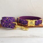 Personalized Dog Collar with Free Engraving Matching Pet Leash Customzied Contacts Metal Buckle Purple Moonlit Night Collar (New)