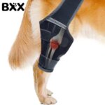 Dog Hip Dysplasia Support Brace Comfortable Compression Sleeve For Mobility And Pain Relief 2026 New (New)