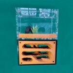 Ecological Ant Farm Unlimited Expansion Ant Nest Yellow Mud Moisturize Anthill Farm Ants House Acrylic Box Ant kennel Workshop (New)