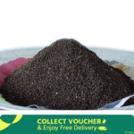 Vermicompost 5Kg
