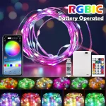 Bluetooth RGBIC LED String with Battery Operated Dreamcolor Smart Fairy Lights string Lights (New)