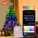 TUYA USB LED String Christmas Lights WS2812B RGBIC Light WIFI Full Color Addressable (New)